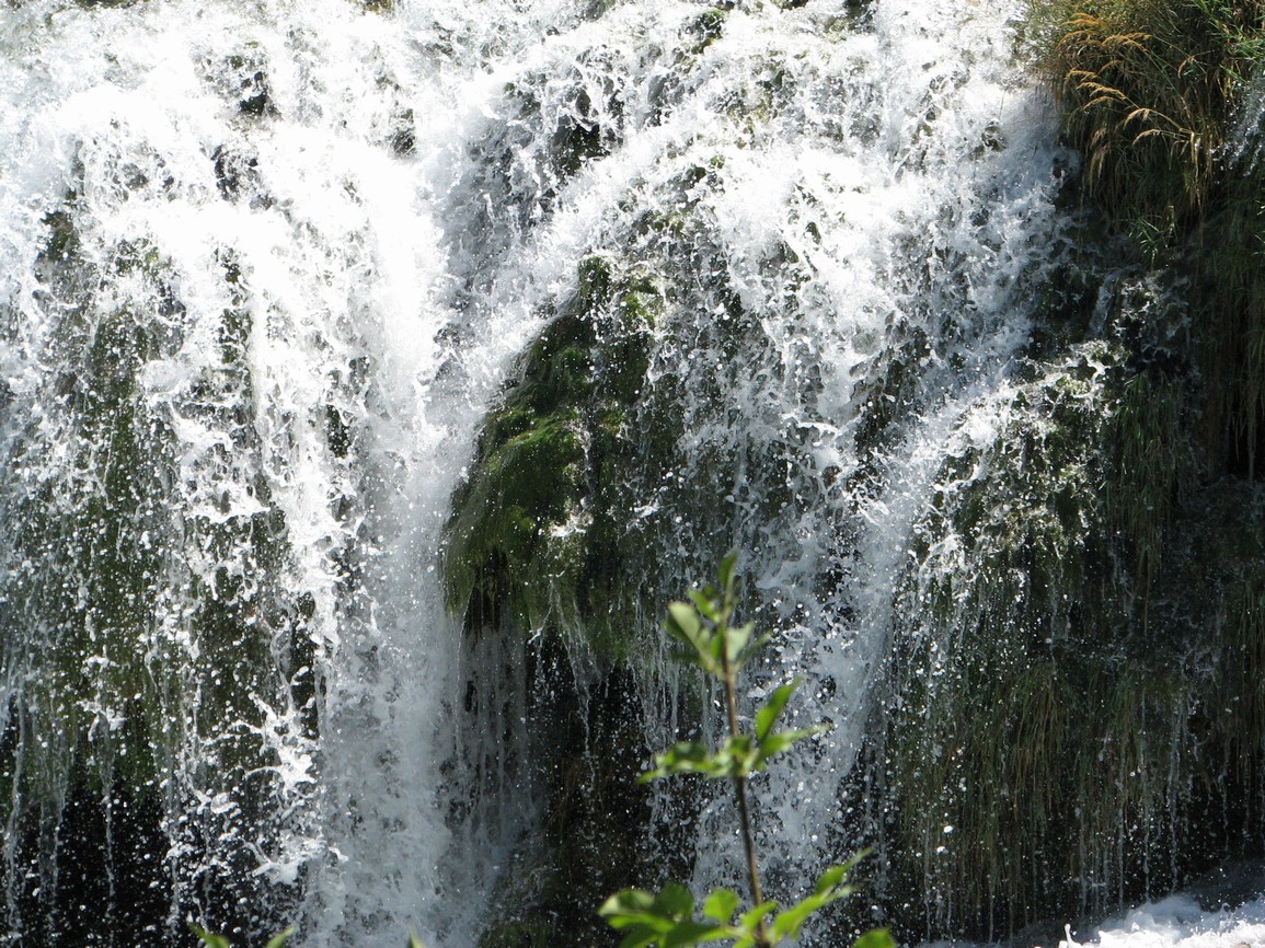 IMG_2593