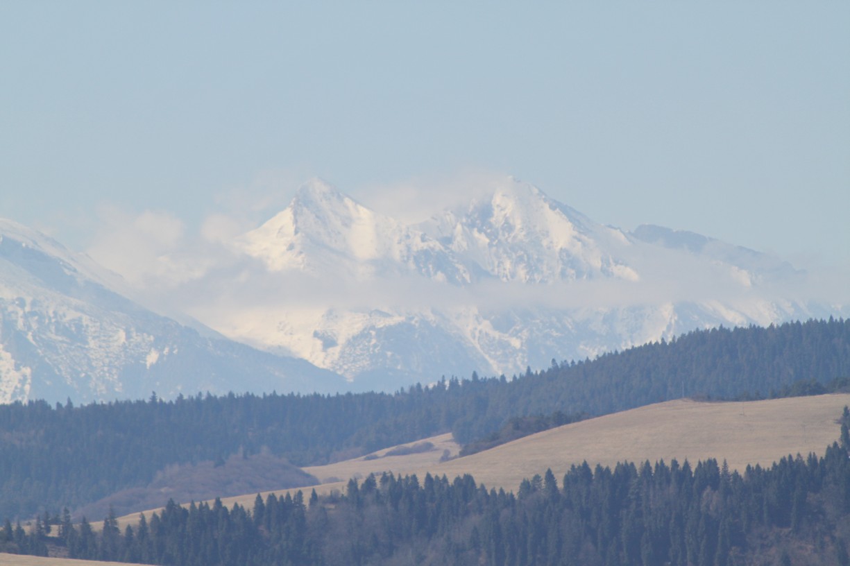IMG_5604_1