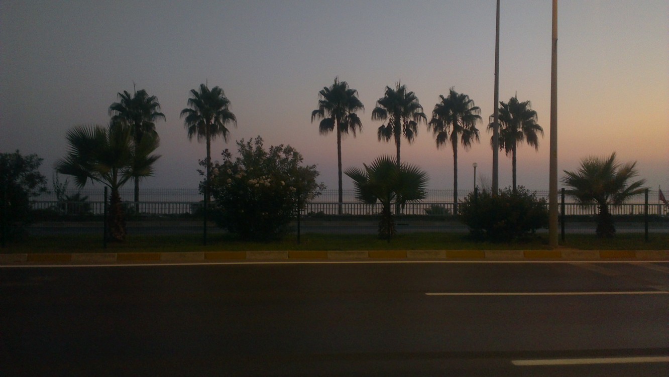 IMAG0065